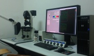 Konfokalni mikroskop